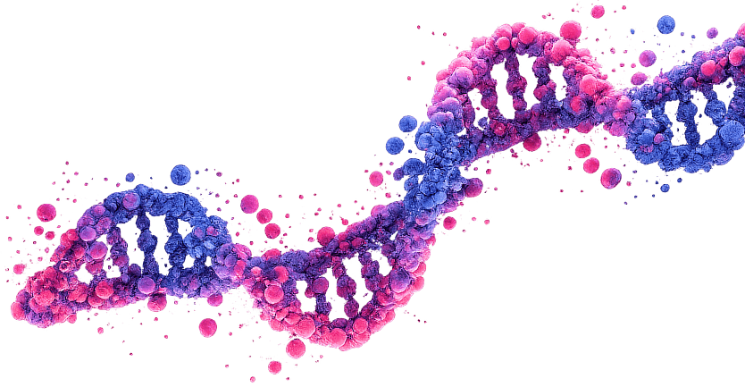 Second DNA Image