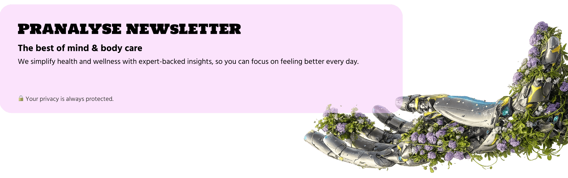 Newsletter
