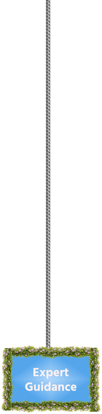 Card 0