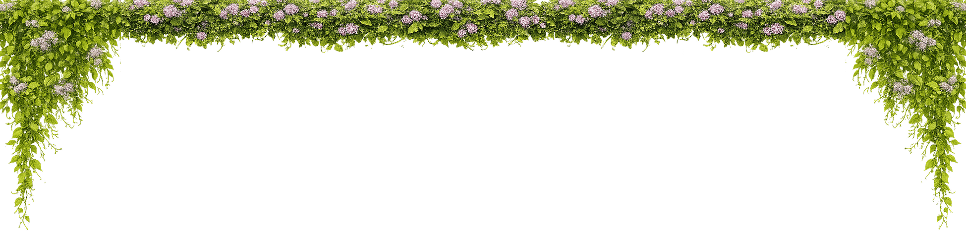creepers
