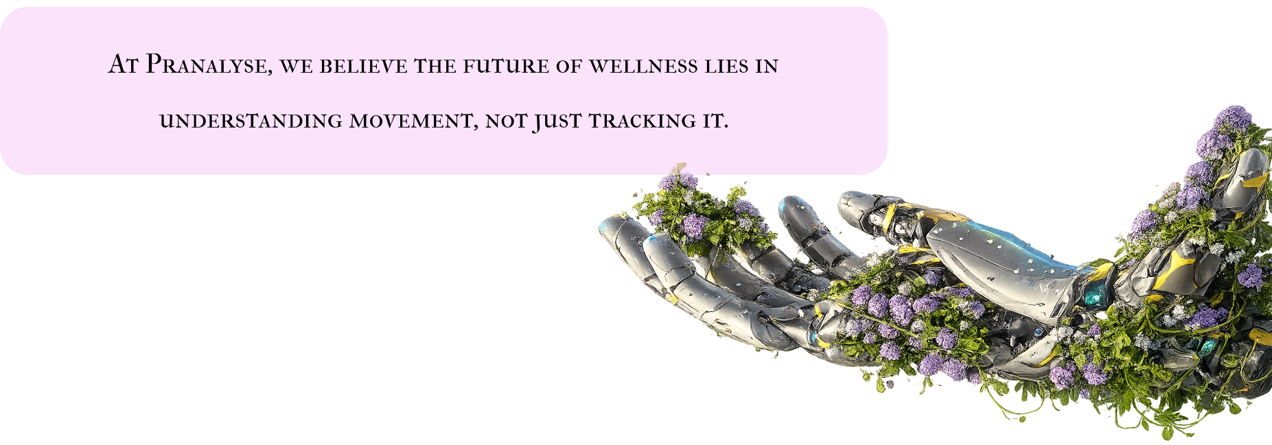 Wellness